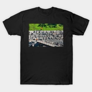 Bricks In The Wall T-Shirt